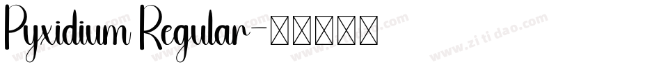 Pyxidium Regular字体转换